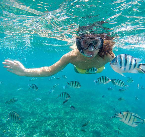 Snorkeling à Cabo Pulmo