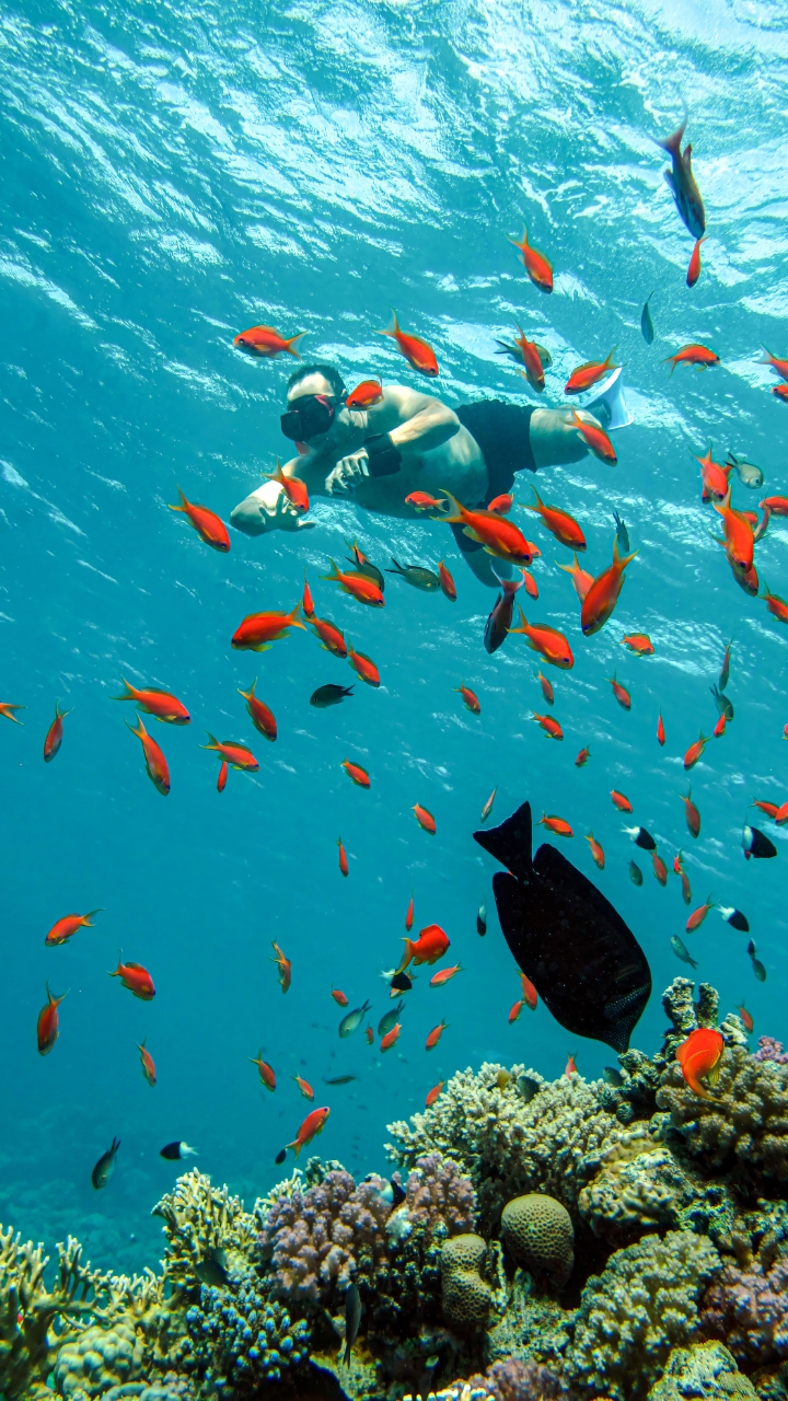 Cabo Snorkeling Adventures